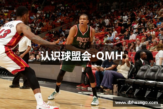认识球盟会·QMH